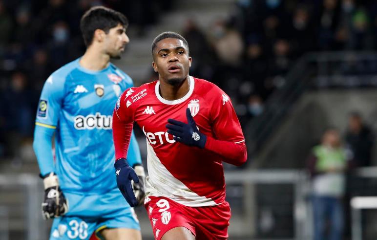 的这一届博 的这一届博