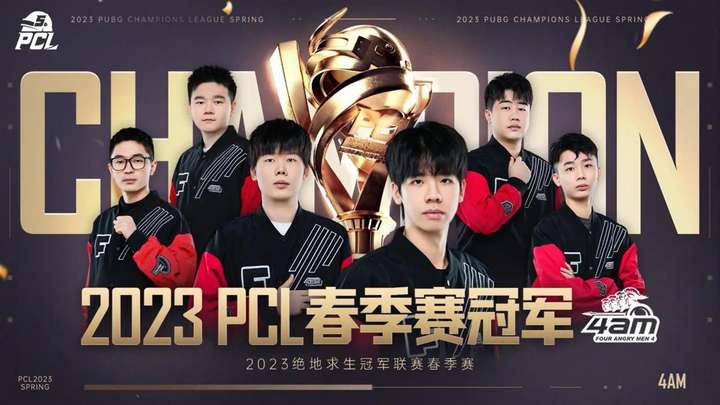 顶叶注意网 顶叶注意网